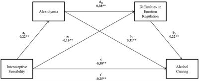 Interoceptive sensibility and alcohol craving in Polish prisoners: the role of alexithymia and emotional dysregulation